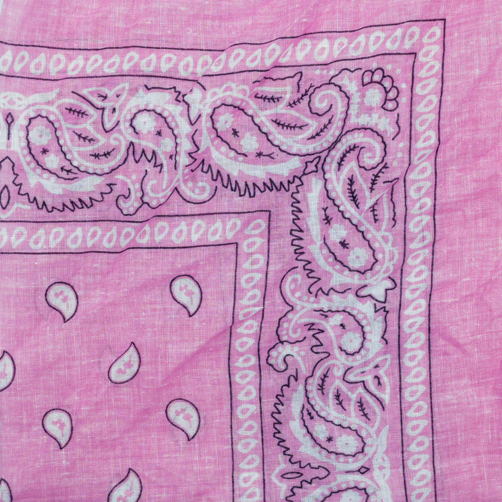 Vintage Paisley Bandana - Dimensions 20in x 20in - Image 10