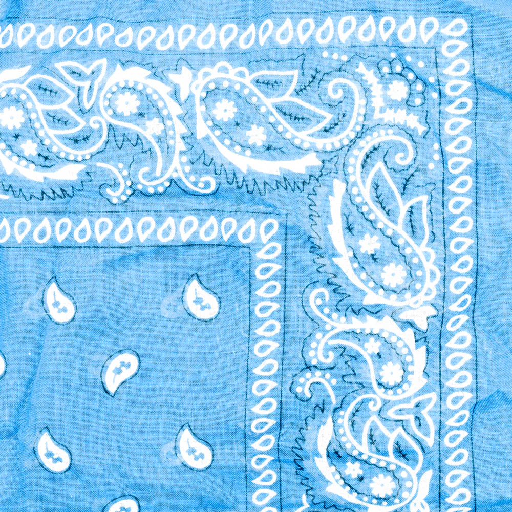 Vintage Paisley Bandana - Dimensions 20in x 20in - Image 12