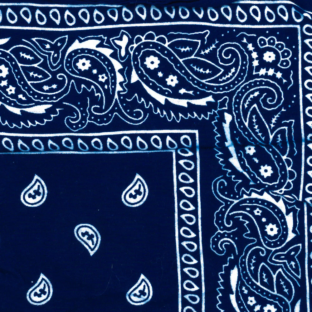 Vintage Paisley Bandana - Dimensions 20in x 20in - Image 13