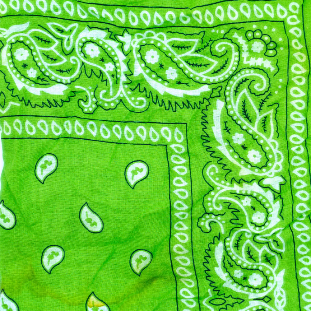 Vintage Paisley Bandana - Dimensions 20in x 20in - Image 15
