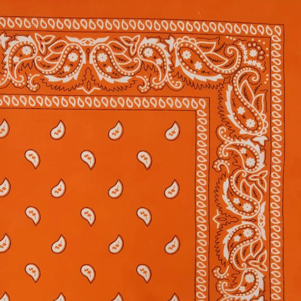 Vintage Paisley Bandana - Dimensions 20in x 20in - Image 18