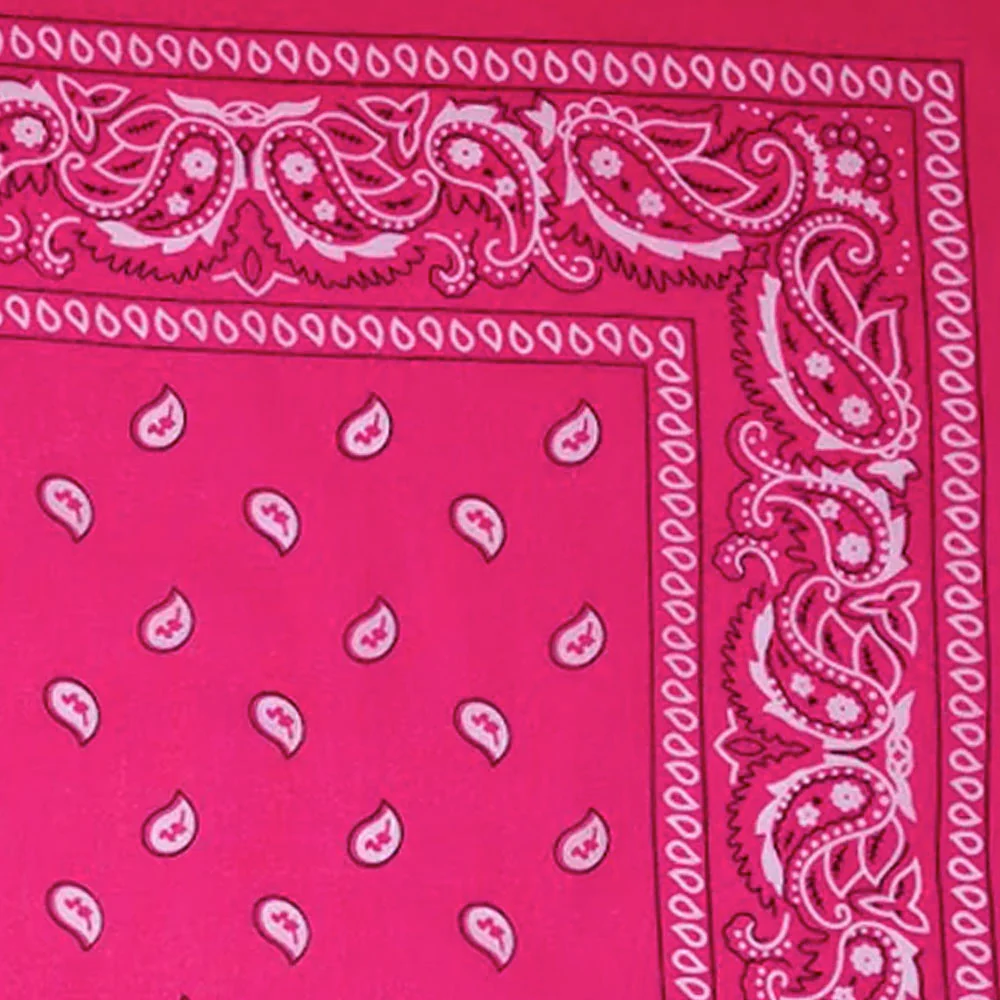 Vintage Paisley Bandana - Dimensions 20in x 20in - Image 19