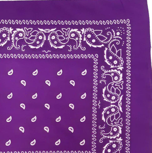 Vintage Paisley Bandana - Dimensions 20in x 20in - Image 20